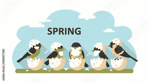 Five adorable baby birds hatching from their eggs, celebrating the arrival of spring.