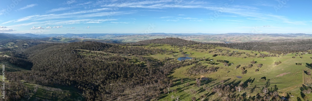 Fototapeta premium livestock in a meadow, sustainable carbon neutral farming being practiced. regenerative raised cows in a field. agricultural technology innovation.