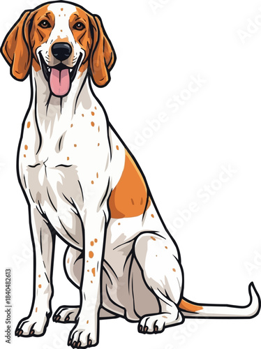 Istrian Shorthaired Hound dog sitting happy panting smiling