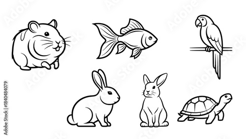 Six black-and-white line-art animals: hamster/guinea pig, fish, parrot, rabbit, cat, and turtle