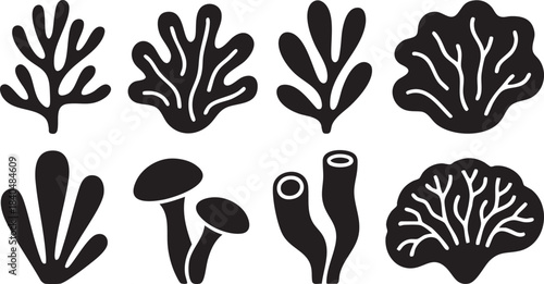 Coral reef or seaweeds vector underwater plant icons. Naive style leaves, algae or fronds. Hand drawn vector ink illustration. Modern style organic corals, aesthetic underwater plants and branches