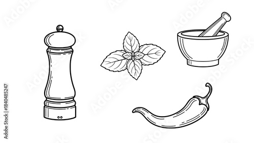 Line art illustration of kitchen spices and tools: pepper mill, mortar and pestle, mint leaves and chili pepper