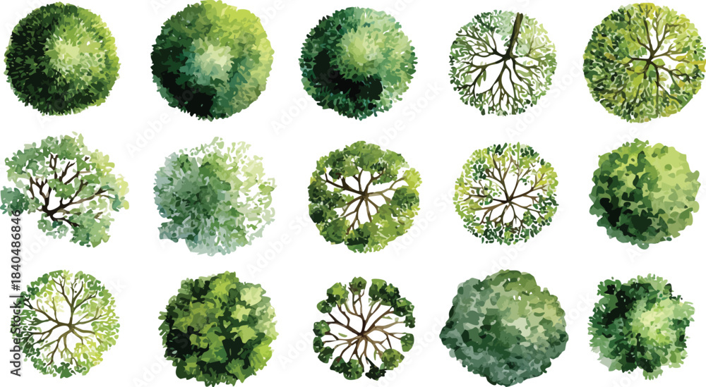 Fototapeta premium Collection of fifteen diverse green trees viewed from directly above in a top down perspective with watercolor style