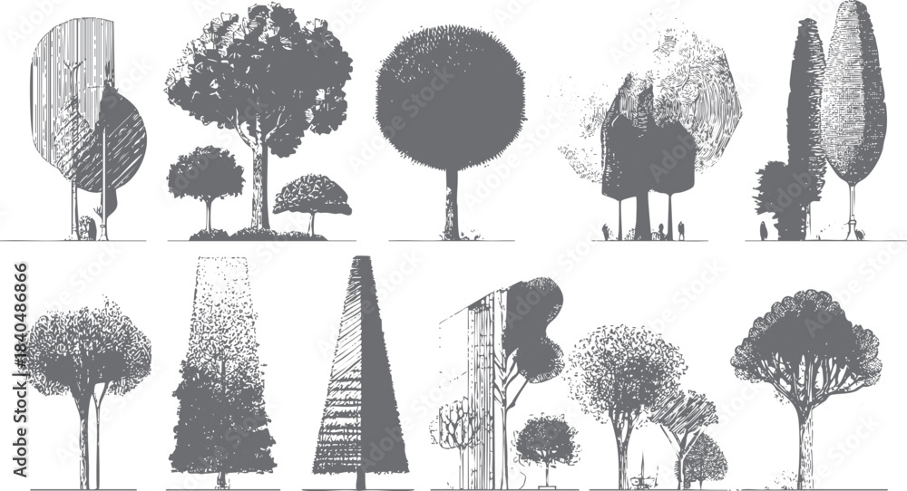 Fototapeta premium Collection of diverse hand-drawn grey trees and shrubs with varied textures and shapes on a white background