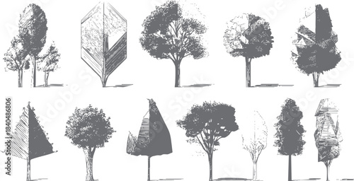 Collection of ten diverse grey sketched trees with varied foliage and trunk styles on a white background
