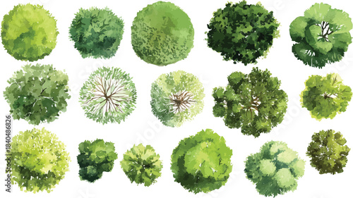 Collection of fifteen stylized green trees viewed from directly above with watercolor texture and white background