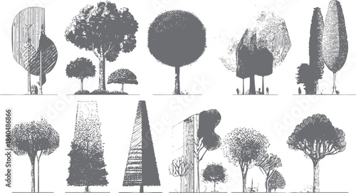 Collection of diverse hand-drawn grey trees and shrubs with varied textures and shapes on a white background