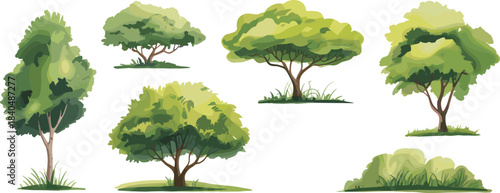 Stylized trees and shrubs with varied shapes, foliage patterns, and greenery shades, landscape design vector illustration set