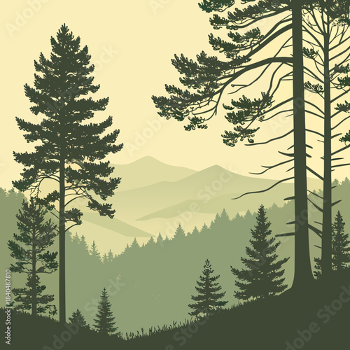 Misty mountain forest landscape with pine trees