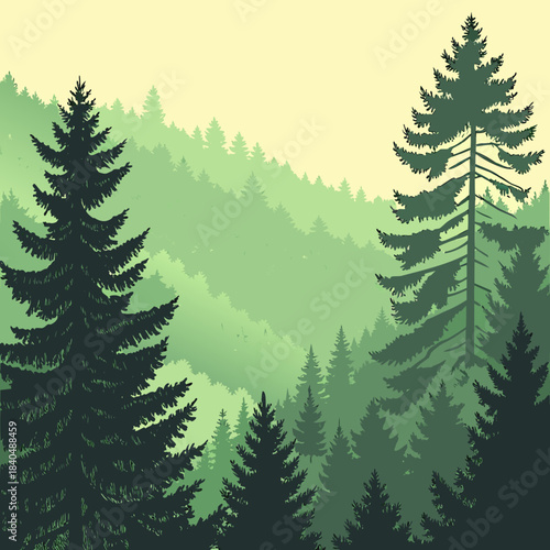 Misty mountain forest landscape with pine trees