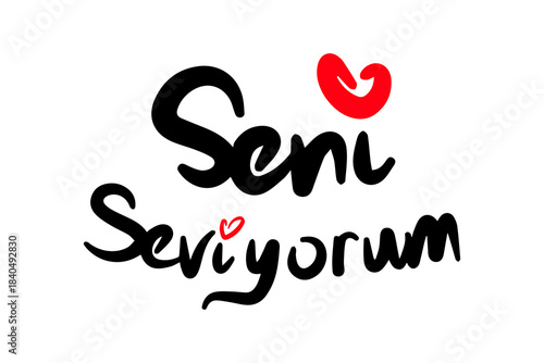 I love you lettering in turkish language. Seni seviyorum greeting card.