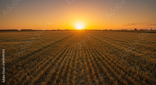 Golden Hour Sunset Over a Harvested Field