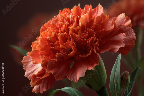 Vibrant orange carnation flower with lush green leaves on a soft background