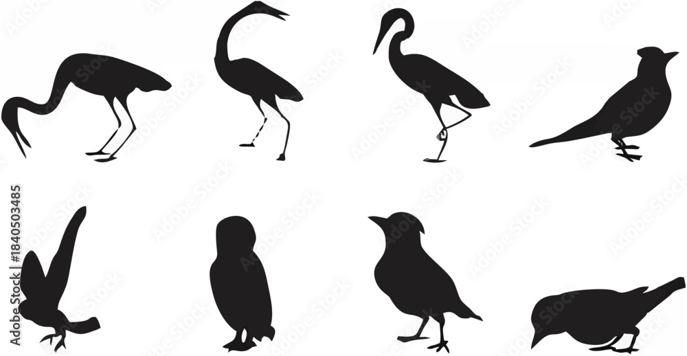 Obraz premium Birds Silhouette Collection.eps