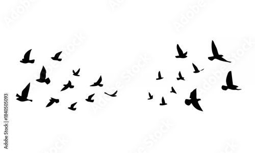 Flying birds silhouettes on i...