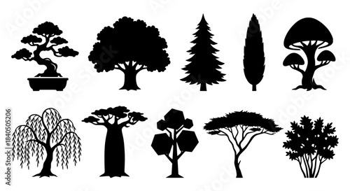 Collection of diverse tree vector silhouettes showing various botanical shapes and plant types isolated