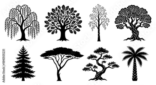 Collection of eight diverse vector tree silhouettes showcasing various species for nature and environmental projects