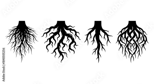 Four distinct vector tree root systems silhouette collection isolated on white background for natural themes