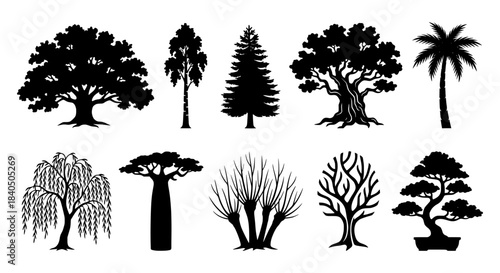 Diverse tree vector silhouette collection featuring various species including oak palm and bonsai isolated on white