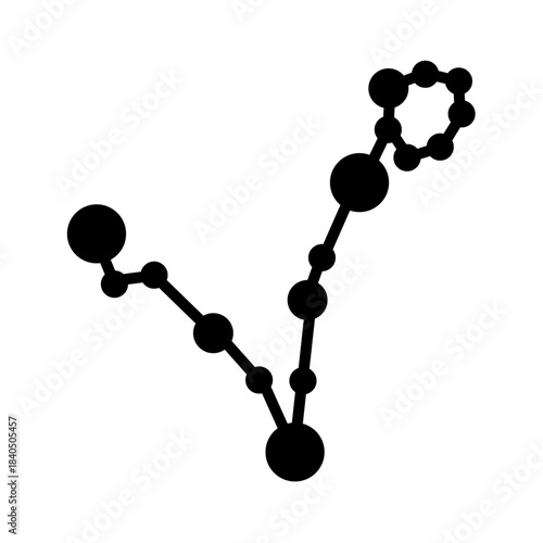 Pisces Zodiac Constellations Vector Image