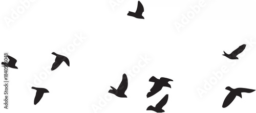 Pigeons Flying Silhouettes 5.eps