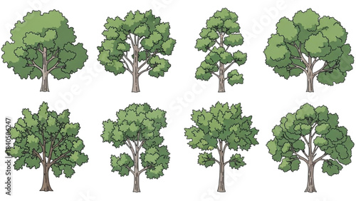 Dynamic human male anatomy auto cad drawing poses for artistic and technical study