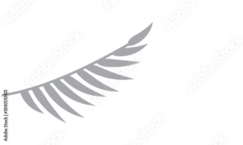 Tropical palm leaf shadow on white background. Soft blurred palm leaf shadow on a light backdrop, ideal for summer design, minimalist layouts, natural themes, and modern branding visuals.

