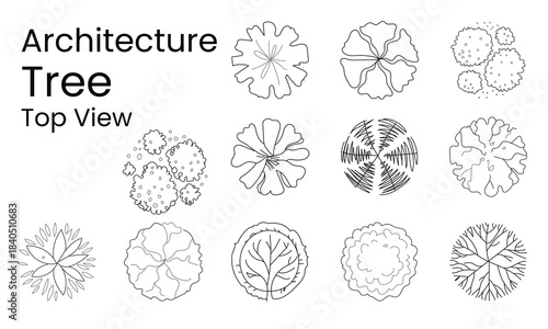 architectural tree top view vector illustrations for landscape design, CAD drawings, planning diagrams, and urban design projects.