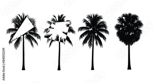 Set of four black palm tree silhouettes isolated on white background, grunge geometric shapes on leaves, tropical summer nature design.