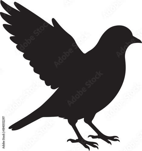 Black silhouette of a songbird landing with spread wings isolated on white