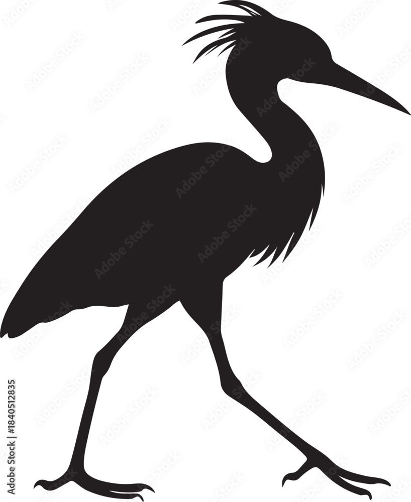 Fototapeta premium Black silhouette of a walking heron or egret bird with crest isolated on white