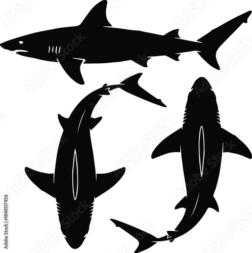 shark silhouette set three orientations side top curved