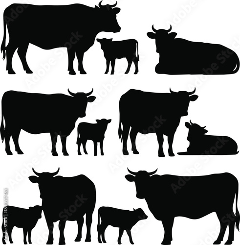 cow vector icons set with adult cow calf resting poses