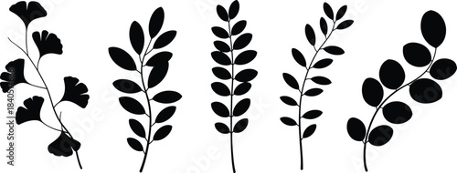 Leafy plant silhouette collection, botanical branch icons, black foliage design, nature reference, leaf shape chart, minimalist flora illustration set