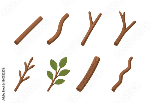 Tree branches and twigs, flat vector illustration with foliage elements