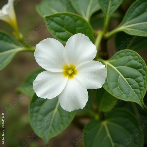 AI generated. Peaceful garden scene emphasizing delicate and colorful flora in sharp focus