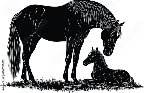 Black and White Vector Illustration of a Majestic Mare Nuzzling Her Young Foal Lying in Grass, Symbolizing Motherhood, Care, and Domestic Animal Life.