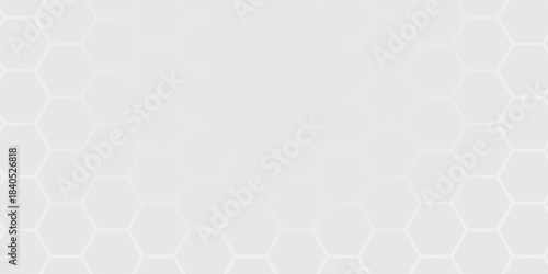 white beehive background. Honeycomb, bees hive cells pattern. Bee honey shapes. Geometric seamless texture symbol. Hexagon, hexagonal raster, mosaic cell sign or icon. Gradation