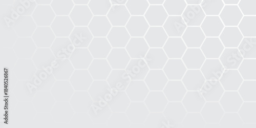 white beehive background. Honeycomb, bees hive cells pattern. Bee honey shapes. Geometric seamless texture symbol. Hexagon, hexagonal raster, mosaic cell sign or icon. Gradation