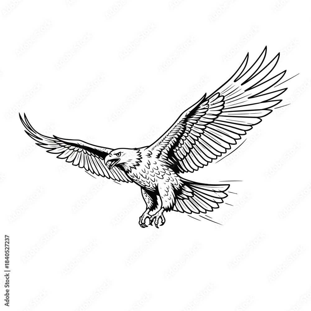 Obraz premium Eagle Vector Illustration