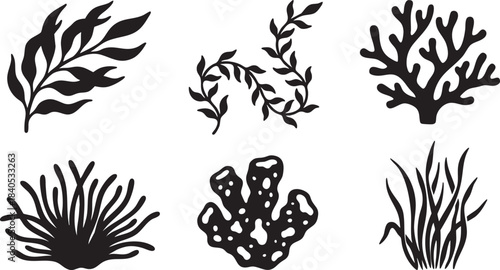 Collection of six black silhouette illustrations of marine flora and fauna on white background