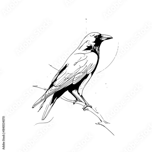 Sleek and minimalist deep black background offering a versatile canvas for design, with uniform texture and clean empty copy space, rendered in high-resolution vector.