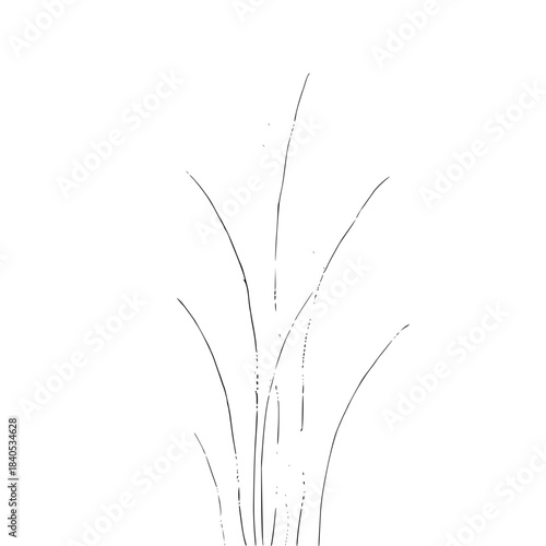 Solid black background with deep, uniform color providing a versatile and minimalist backdrop for various design projects, ideal for copy space and modern aesthetics.