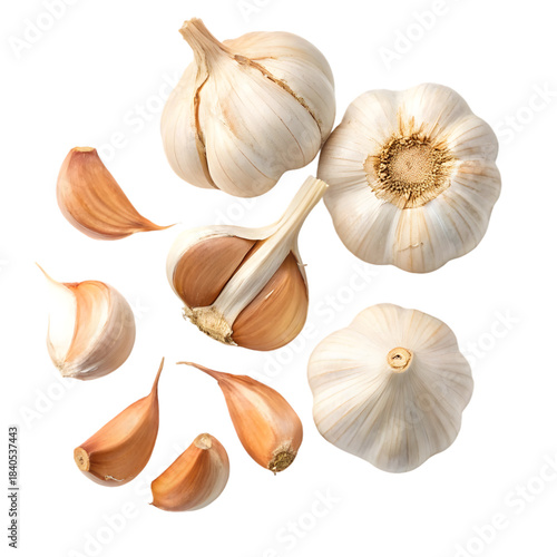 Fresh Garlic Bulbs & Cloves on transparent background
