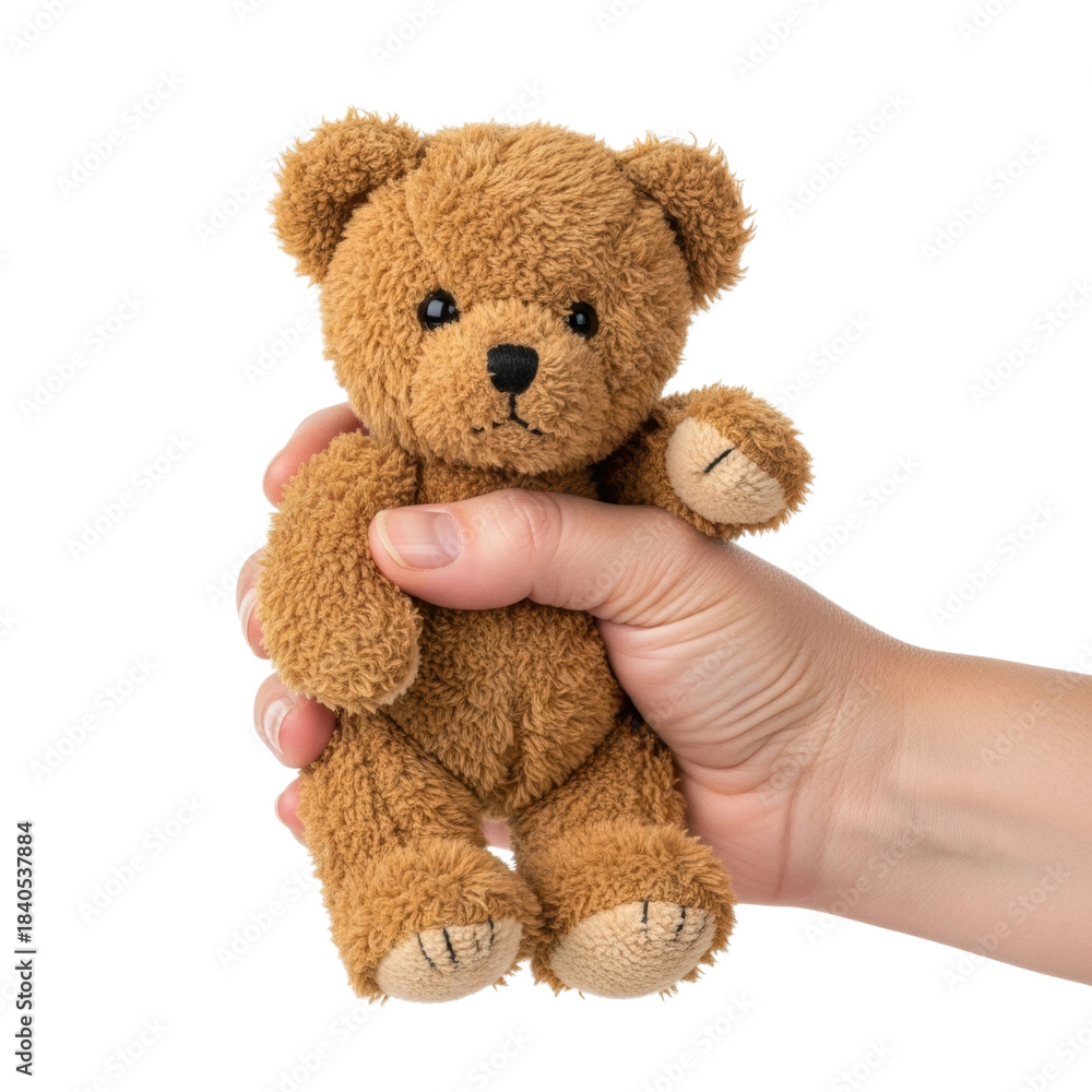 Fototapeta premium Cuddly toy handheld cute concept isolated on transparent background