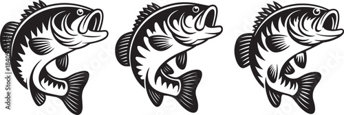 Set of three largemouth bass fish for fishing sport or club emblem in monochrome style
