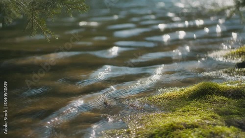 Gentle ripples on a serene lake's edge with lush greenery