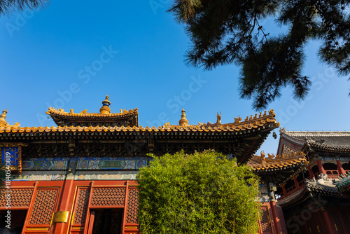 Wallpaper Mural View of roofs of Lama Temple framed by tree branches and blue sky highlighting traditional Chinese architecture in sunlight, Beijing, China Torontodigital.ca