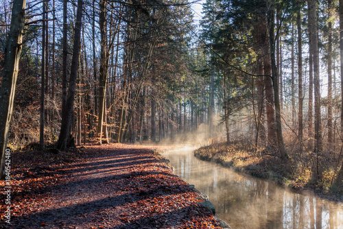 Forest path beside clear creek with rising morning mist and long shadows Germany, Augsburg, 10 December 2025