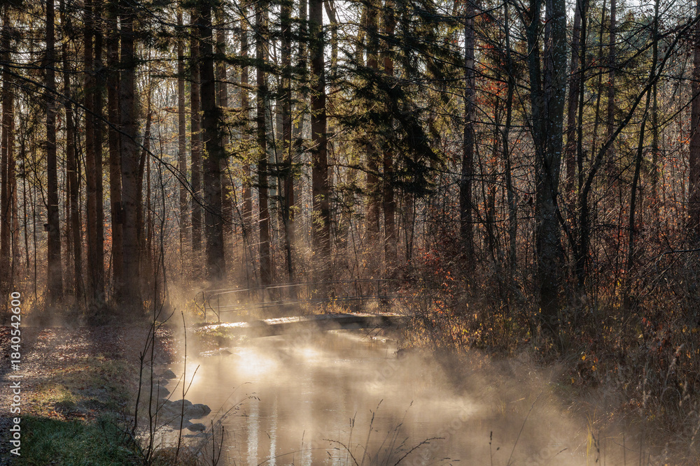 Obraz premium Winter forest with soft sunlight and mist drifting over calm creek Germany, Augsburg, 10 December 2025